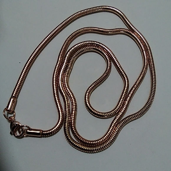 RG Snake Chain - Picture 2 of 4